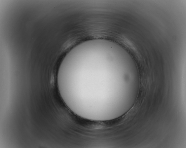 X0000088390124200705220809