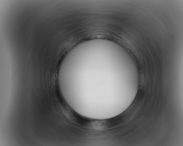 X0000088390126200705220809