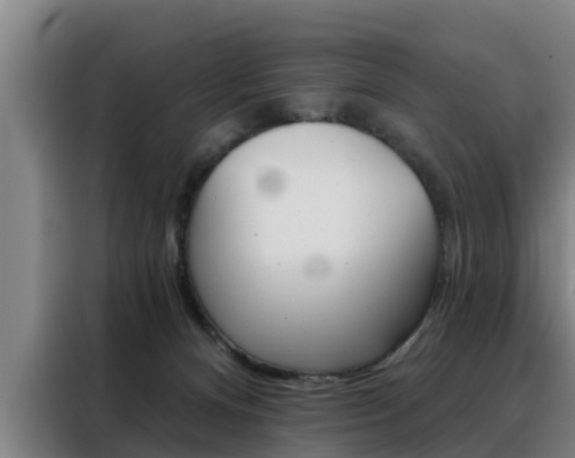 X0000088390128200705220809