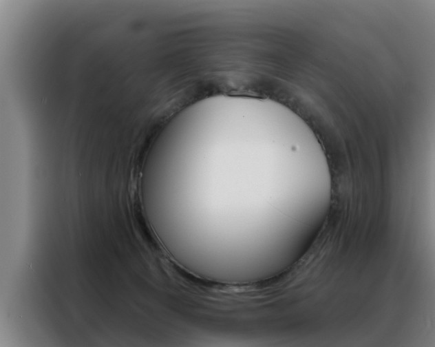 X0000088390129200705220809