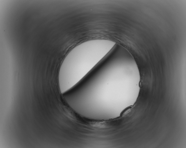 X0000088390132200705220808