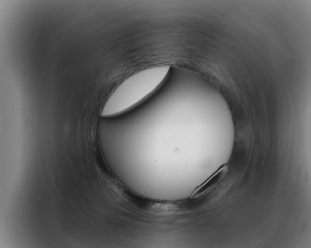 X0000088390133200705220808