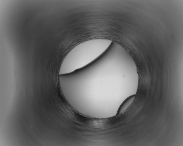 X0000088390134200705220808