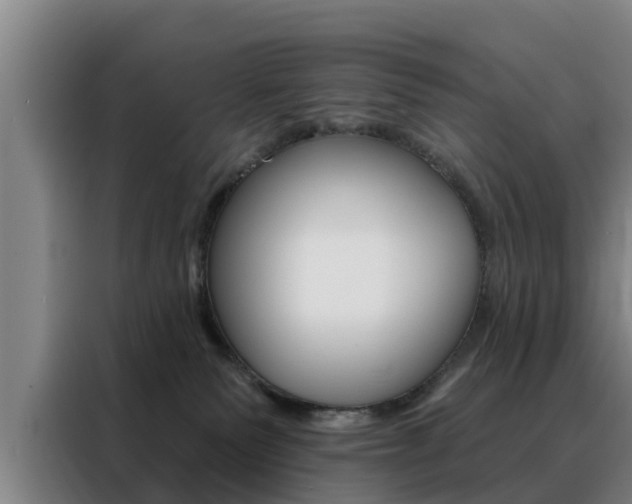 X0000088390135200705220808