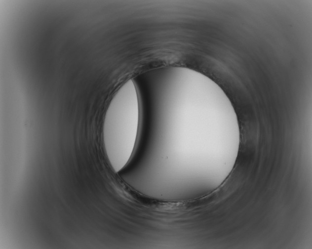 X0000088390136200705220808