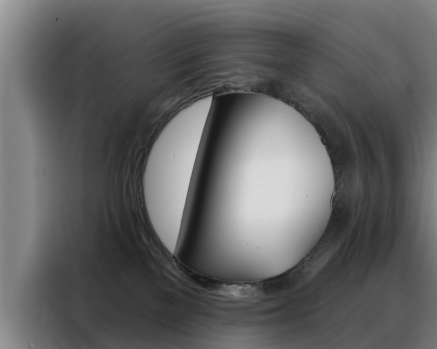 X0000088390137200705220808