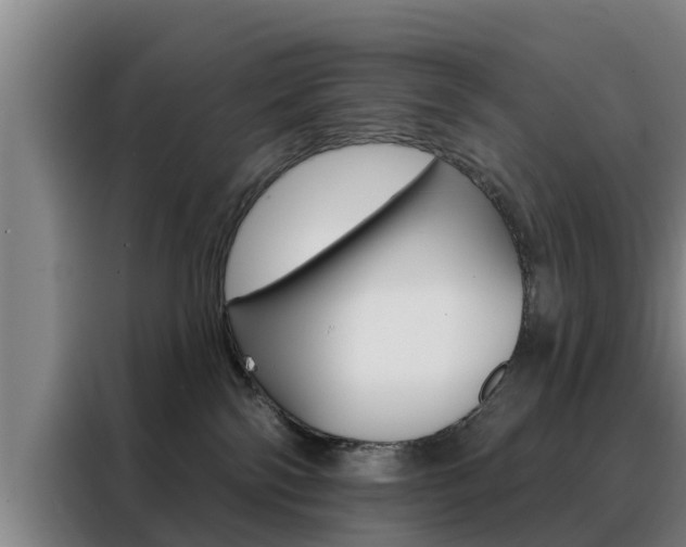 X0000088390138200705220808