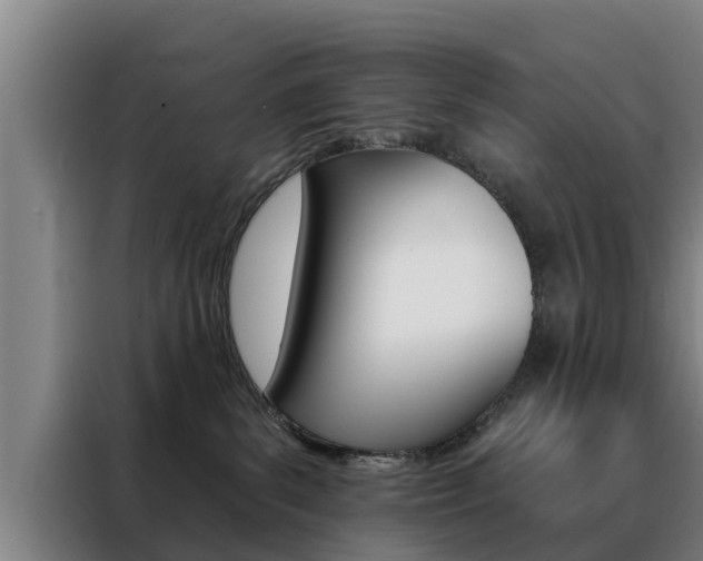 X0000088390139200705220808