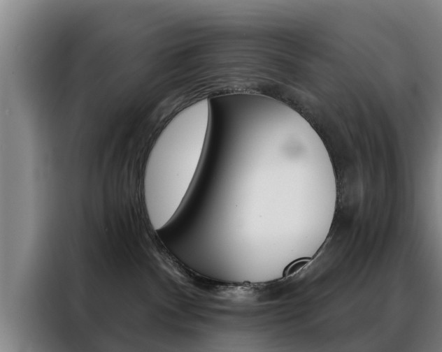 X0000088390140200705220808