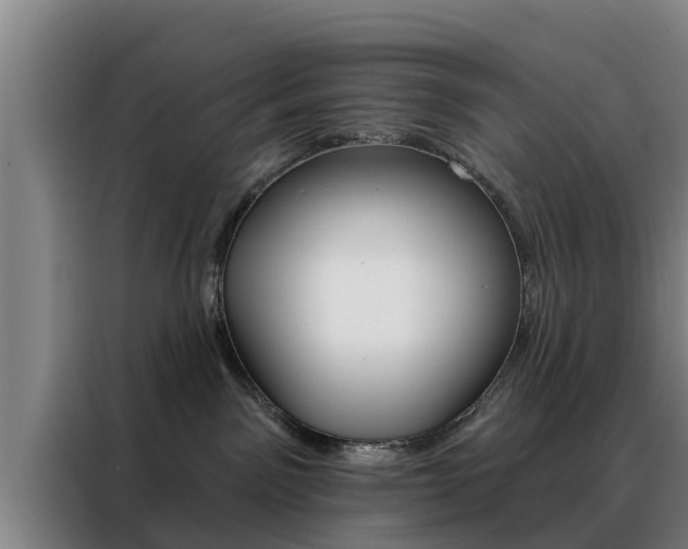 X0000088390141200705220808