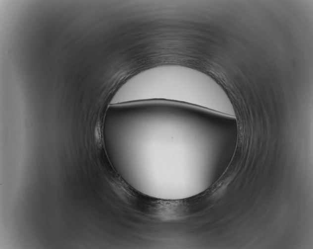 X0000088390143200705220808