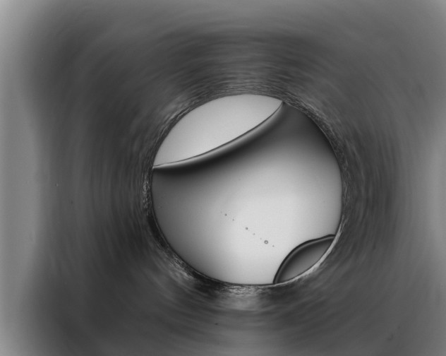 X0000088390144200705220808