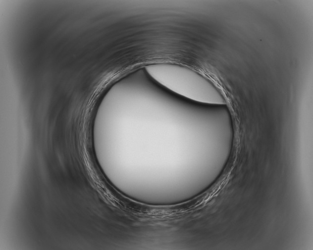 X0000088390145200705220808