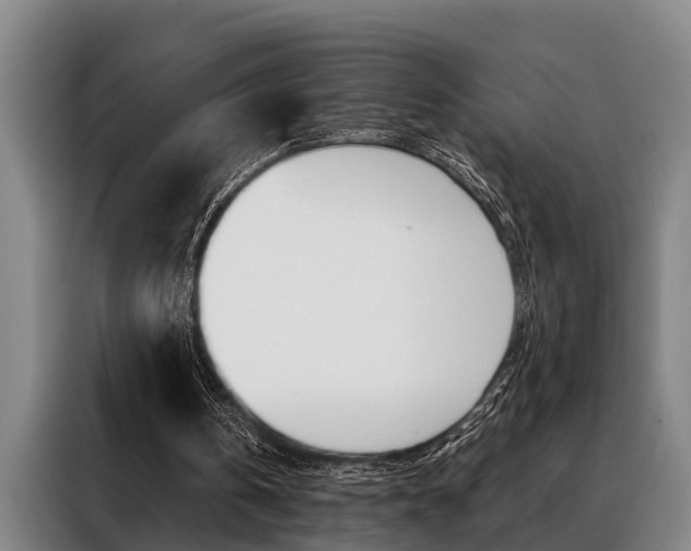 X0000088390146200705220808