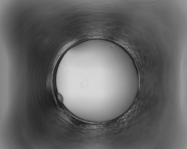 X0000088390147200705220808