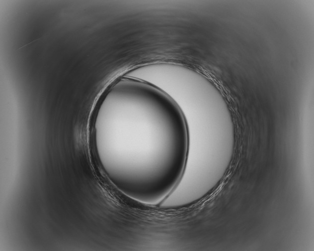 X0000088390148200705220808