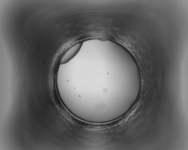 X0000088390149200705220808