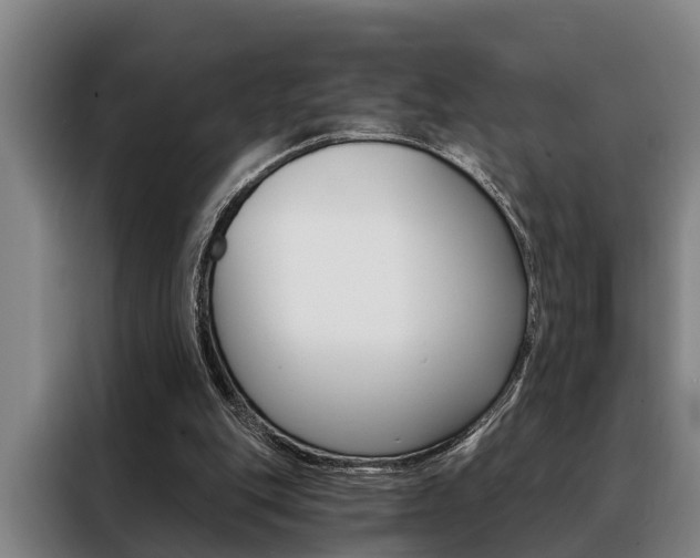 X0000088390151200705220808