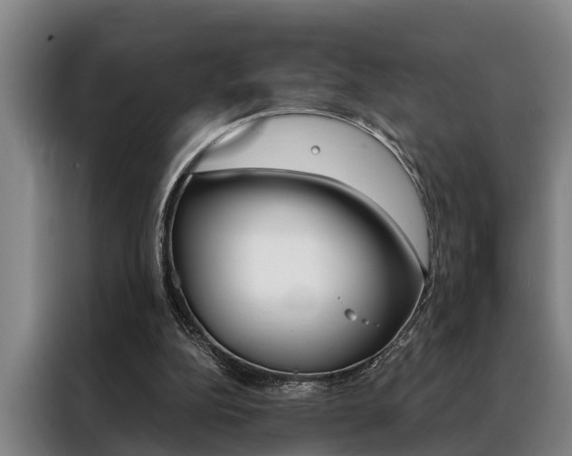 X0000088390152200705220808