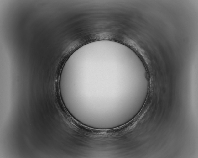 X0000088390153200705220808