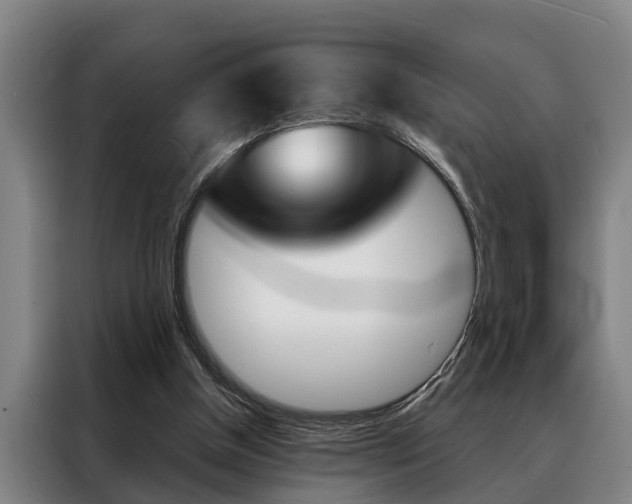 X0000088390154200705220808