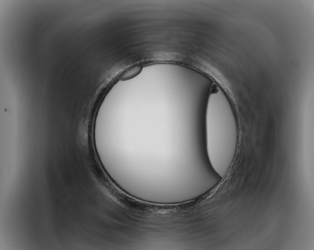 X0000088390155200705220808