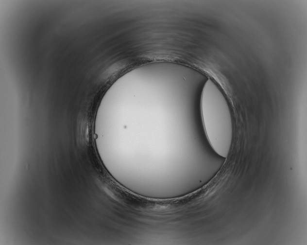 X0000088390157200705220808