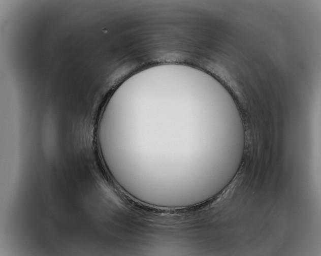 X0000088390159200705220808