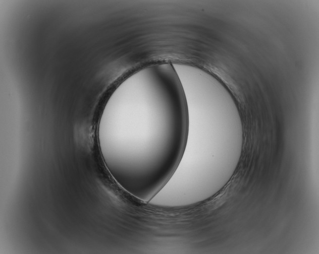 X0000088390160200705220808