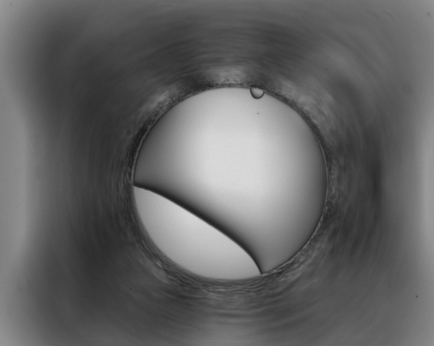 X0000088390161200705220808