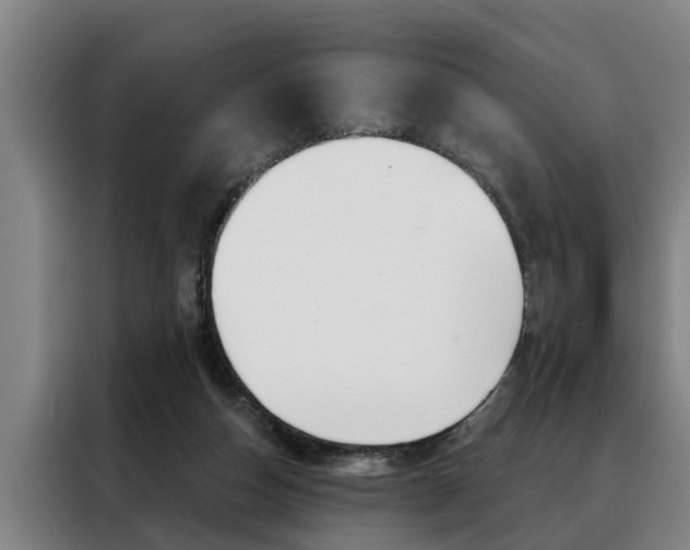 X0000088390162200705220808