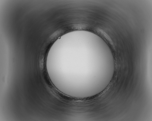 X0000088390163200705220808