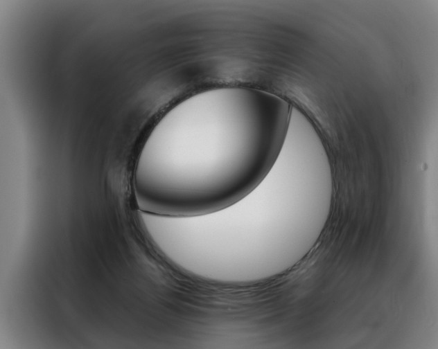 X0000088390164200705220808