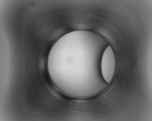 X0000088390165200705220808