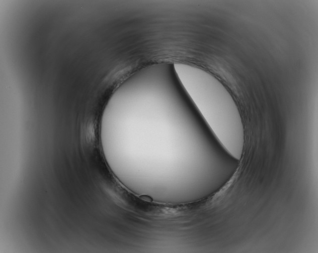 X0000088390166200705220808