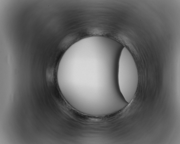 X0000088390167200705220808