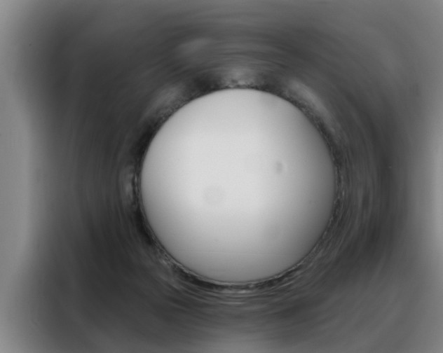 X0000088390169200705220808