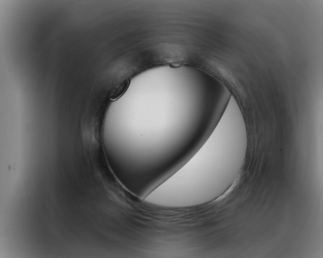 X0000088390170200705220808