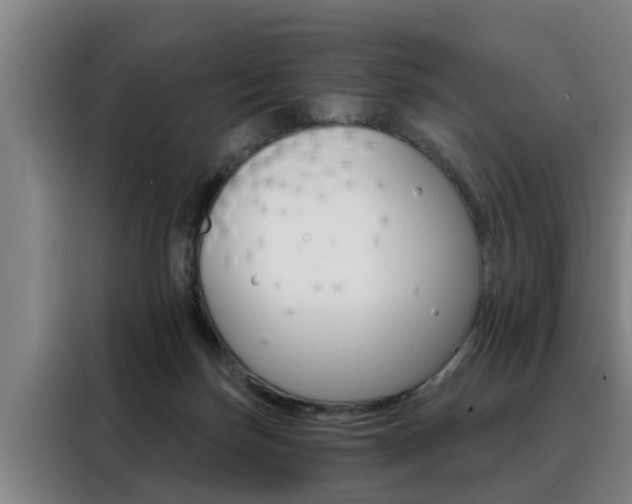 X0000088390171200705220808