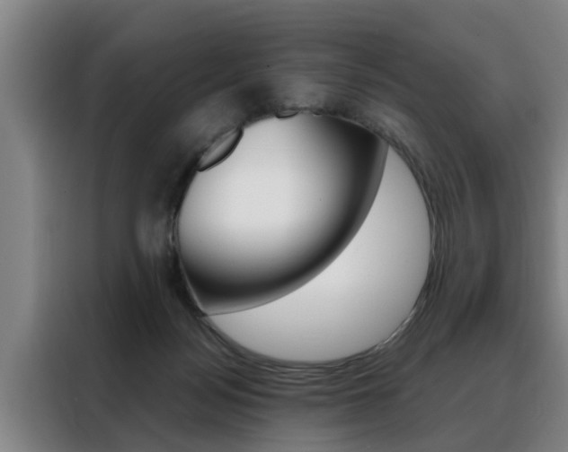 X0000088390172200705220808