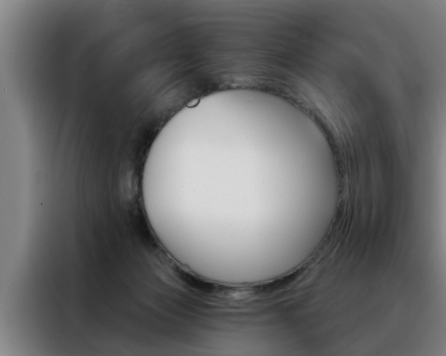 X0000088390173200705220808