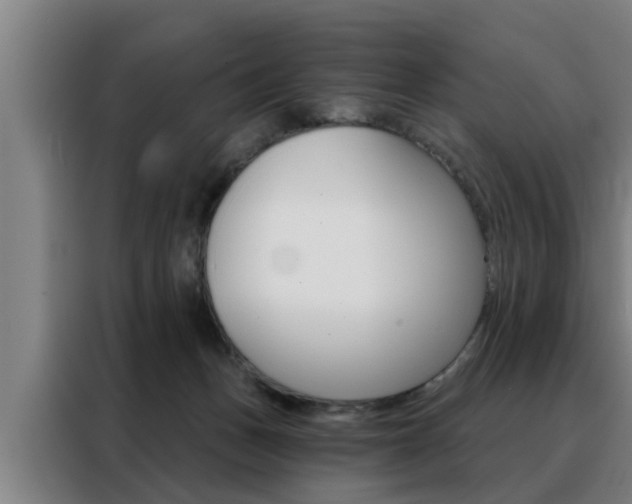 X0000088390175200705220808