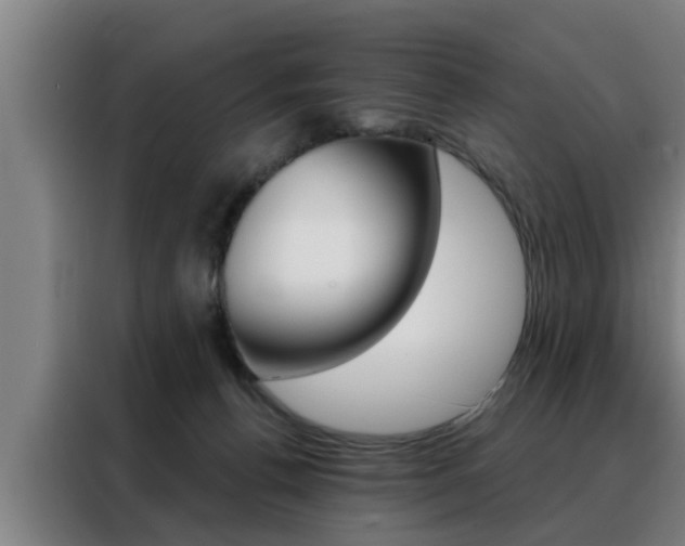 X0000088390176200705220808