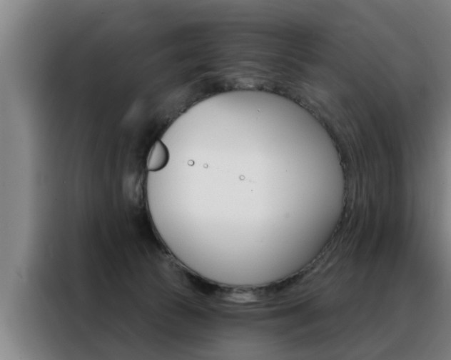 X0000088390177200705220808