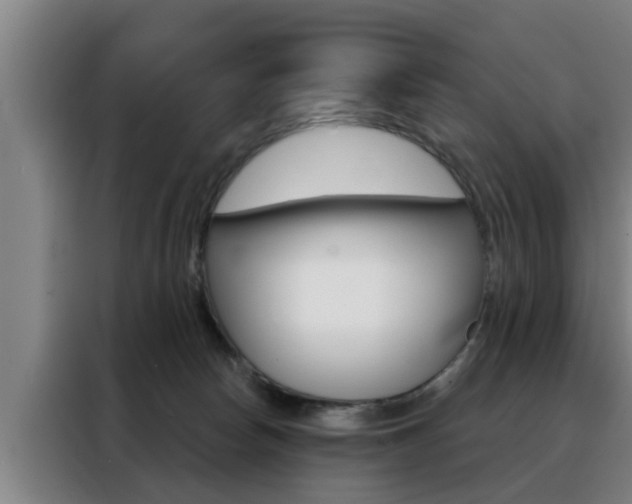 X0000088390178200705220808