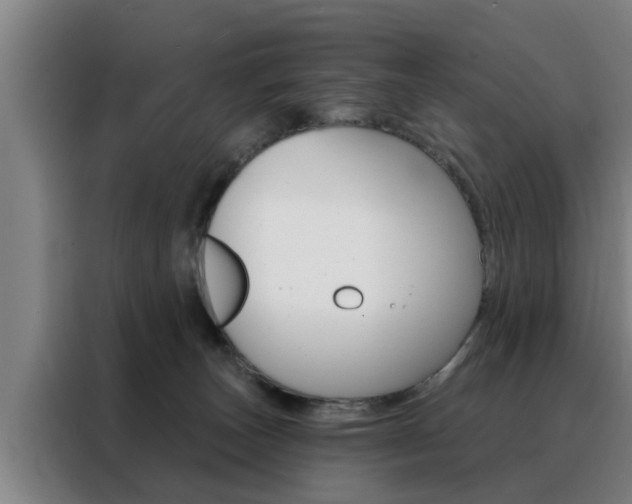 X0000088390179200705220808