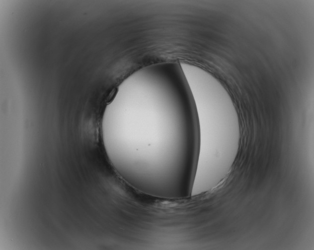 X0000088390180200705220808