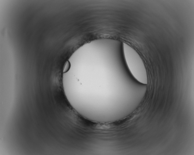 X0000088390181200705220808