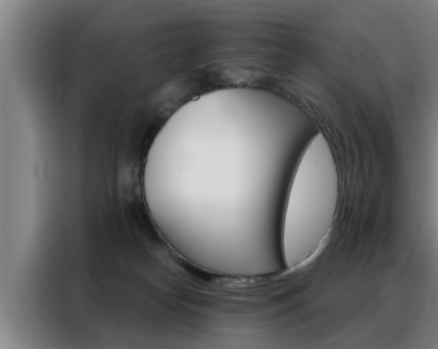 X0000088390182200705220808