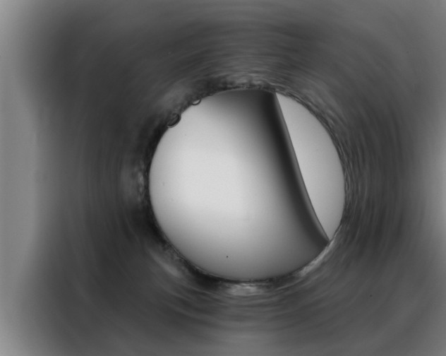 X0000088390183200705220808